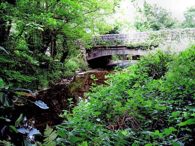 The North Lodge Kilronan Roscommon Luaran gambar